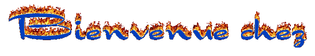 Beinvenue2 (64674 bytes)